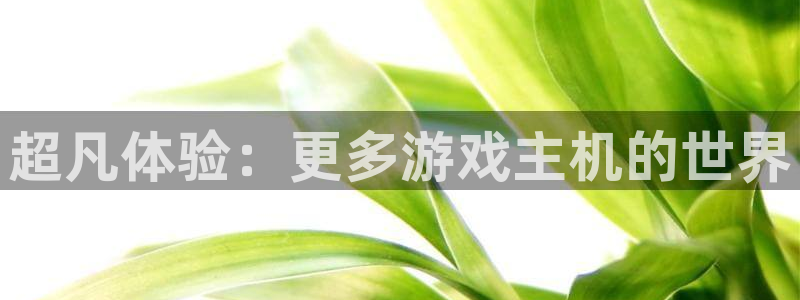 k8凯发集团简介：超凡体验：更多游戏主机的世界