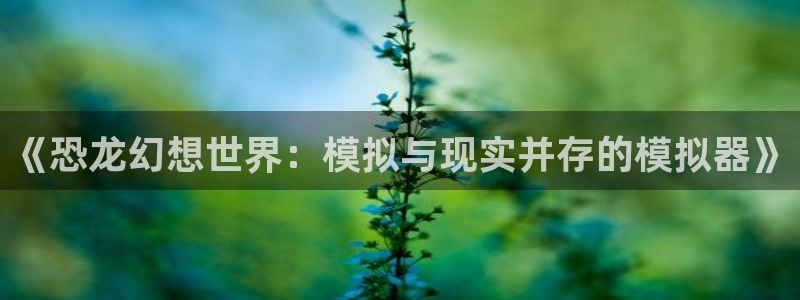 k8凯发集团电子游戏官网