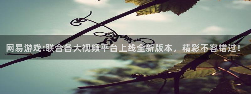 k8凯发官方来就送38：网易游戏:联合各大视频平台上线全新版