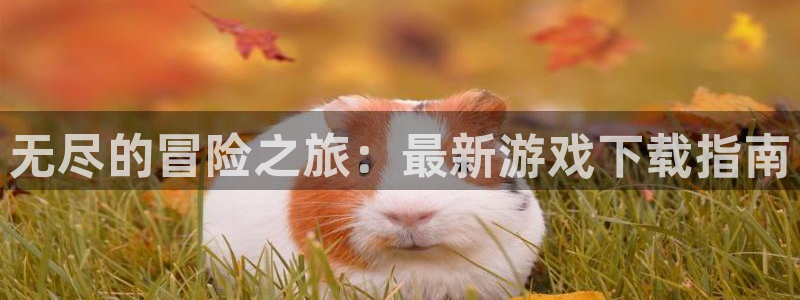 凯发k8真实