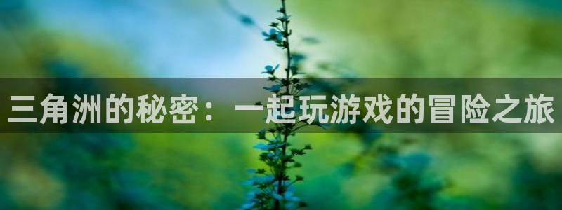 k8凯发手机客户端：三角洲的秘密：一起玩游戏的冒险之旅