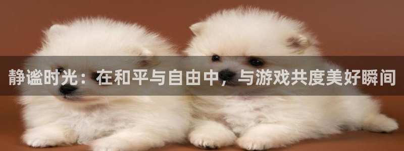 k8凯发天生赢家一触即发：静谧时光：在和平与自由中，与游戏共